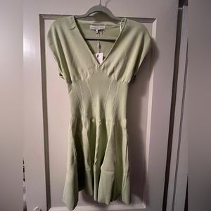 NWT Endless Rose Mini Dress